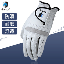 caiton Kaidun golf gloves mens wear-resistant golf hands comfortable skin-friendly non-slip gloves imported fabric