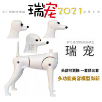 Ripet Pet Beauty Model New Three-in-one Multifunction Split VIP Tedi Section Beauty Fake Dog Hair Model