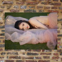 Liu Haocun poster customized PDKB81 a total of 99 models full of 8 postage photos A3 wall stickers photo
