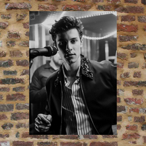 Shawn Mendes poster custom T205 A total of 208 models full of 8 free shipping Meng Mendes Shawn Mendes