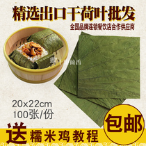 Natural whole piece of dried lotus leaves large slices of herbal tea with winter melon skin glutinous rice chicken rice instant breakfast Cantonese dim sum