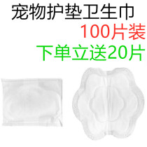 Mother dog menstrual pad pet teddy menstrual period menstrual pad aunt golden hair sanitary pad diaper female