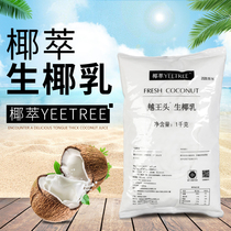 Raw coconut coconut milk jelly with raw materials Yue Wang head coconut milk coffee milk tea shop special raw materials