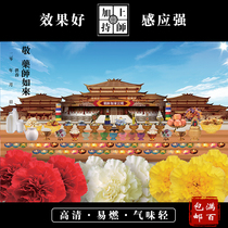 (Lianchi Inn) HD Lianhe Pond Origin picture supporting pharmacist Liuguang