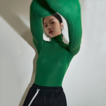 Chamoka Green Simple High Neck Slim Wool Cashmere Long Sleeve Pullover Knit Top base shirt WO31