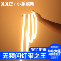 220VLED lights with no strobe smart decorative household super bright living room ceiling dark trough warm light line light strip