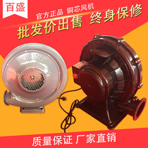 Inflatable arch special fan Rainbow door celebration Air model wedding Ssangyong blower plastic fan