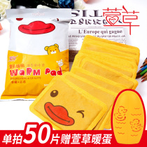 Daylily cartoon warm baby hot invitation palace cold aunt warm stickers Warm body self-heating stickers warm treasure girls
