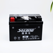 GSX DL GW250 DR300 original motorcycle battery 12V8AH battery charger anti-counterfeiting verification