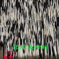 Natural Guizhou porcupine thorn affordable arrow pig stinging medicinal use thorn pig thorn grinding powder Yunnan porcupine hair has creases and bites