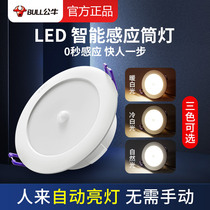 Bull Sensing Cylinder Light Embedded Led Ceiling Lamp Spotlight Light Extravagant Home Genguan Gangway Human Infrared Sensing