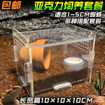10 cm small number of climbing spotting rearing boxes Acrylic Reptile Boxes Spider centipedes Centipede Rearing Boxes Reptiles Rearing Reptile Boxes