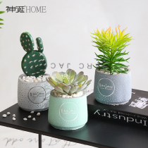 Nordic simulation fleshy cactus potted ornaments fake flowers and green plants decorate the living room indoor desktop creative decoration
