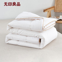 Unstamped Good Soybean Fiber Autumn Quilt Single Quilt by Core Four Seasons General Double Spring and Autumn Seasons Thickened