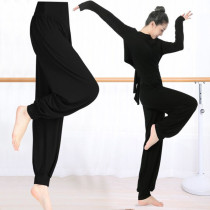 Dance pants practice clothing womens suit Latin dance Chinese classical modern dance body top radish bloomers summer