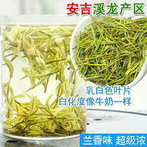 Super strong blue flavor Anji Xilong authentic origin 2021 new tea Anji White Tea Mingqian Premium 250g