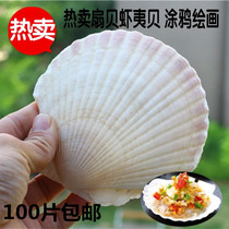 Hot sale natural conch barbecue fan fan shell DIY graffiti painting wall sticker fish tank aquarium decoration shooting