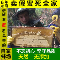 Honey Natural Farmers Self-produced Wild Deep Mountain Mature Soil Honey 100% No Add Baihua Longan Spring Honey