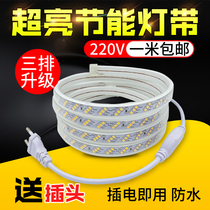 220Vled lamp belt household outdoor engineering waterproof super bright white light three rows of 2835 decorative strip light belt self-adhesive