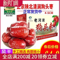  Dogs head jujube Shaanxi specialty premium Northern Shaanxi Yanan Qingjian jujube 5 kg bulk new goods 2500g big red jujube free-washing