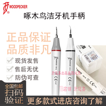 Woodpecker scaler handle accessories original Yi Keshi cleaning handle Weirun dental cleaning machine head