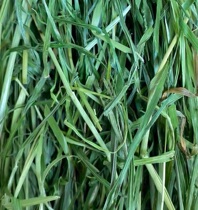 21 years New drying North Tidole homegrown ti Moshe grass rabbit dragon cat dried grass 500g-3 catty