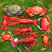 Simulation seafood fake crab lobster photography model dishes props early education toys plastic silicone large sea cucumber