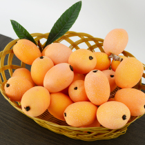 Simulation fake loquat fruit and vegetable model childrens toys decoration decoration creative fruit shop layout supplies