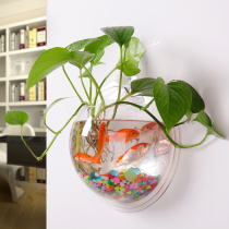 Living room wall wall hanging flower pot wall hanging fish tank creative wall hydroponic pendant decoration wall hanging vase