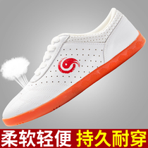 Tai Chi shoes Mens beef tendon bottom Taijiquan shoes spring and summer leather Taijiquan practice shoes Martial arts training shoes Tai Chi shoes women