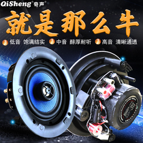 Chic Coaxial Set Resistance Suction Top Horn Embedded Smallpox Ceiling Speaker Living Room Heavy Bass K Song 5 1