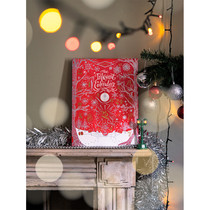 Diamine 2021 Christmas Gift Box 2021 Advent Calendar Gift Box Dai Ami 2019 Christmas Gift Box