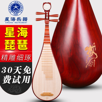 Xinghai Pipa musical instrument 8972QZ Rosewood African Rosewood pipa Adult pipa beginner examination practice pipa