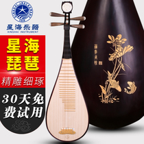 Beijing Xinghai Pipa 8971LY Hardwood pipa Adult introduction Beginner pipa instrument practice pipa