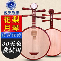 Beijing Xinghai Yueqin 8212 Flower pear head Flower Yueqin musical instrument Beijing Opera accompaniment Xipi Erhuang Yueqin