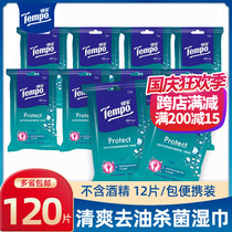 Tempo Depot Adult Wiping Paper 120 PIPE Portable Wet Wipes Sanitary Wipes