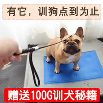 Dog training whip dog artifact hit dog stick love shoot dog stick tutorial Horse Dog equipment pet dog training supplies