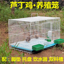  Rutin chicken breeding cage Blue-breasted quail osmanthus chicken bird pigeon bird cage Rutin chicken breeding equipment