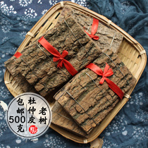 Yunnan Eucommia 500g Chinese herbal medicine fresh Duzhong skin bark powder wine Tea non-grade Wild