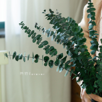Eternal true flower Amine leaf dried flower Eucalyptus leaf Nordic light luxury home model room soft decorative bouquet with flower material