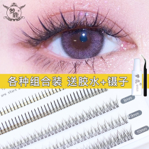 Dream Deer Fake Eyelash Female Natural Emulation Fairy Hair Single Tuft Self-Glued Eyelash Mix Beginners Dream Dew