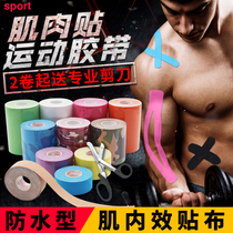 Intramuscular effect patch professional training fitness exercise tape elastic bandage strain rehabilitation muscle patch elastic tape