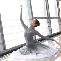 Ballet uniform adult female modern dance turtleneck long sleeve yoga classical gauze shape mesh top suit