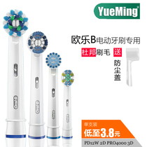 Yueming adapts oleb electric toothbrush brush head D12W D12N 2D PRO4000 3D