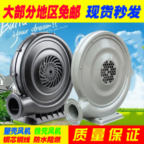 250 370 610 Watt 550W inflatable gown air mold special arch Cartoon Doll centrifugal copper core Blower