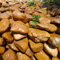 Yellow wax stone Indesite natural raw stone water sprint quartz stone ornamental stone turtle sunburn Typhoon Waterstone 20-50CM