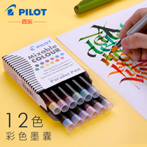 12 Baile Parallel Pens Ink Pens Ink Bile IC-P3-S6 Color Duck Pen Ink
