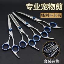 Pet trimming scissors Dog grooming scissors set Shearing tools Dog professional trimming scissors set straight scissors Tooth scissors