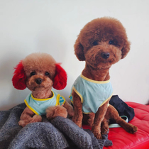 Pet Dog Dye Hair Dye Hair Dye Special Dye Hair Dye