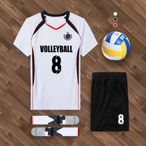 Volleyball uniforms customized competition uniforms clothes for men and women sports training gas volleyball uniforms